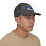 Patagonia low best sale profile trucker hat