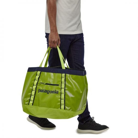 patagonia tote